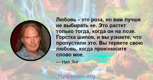 Любовь - это роза, но вам лучше не выбирать ее. Это растет только тогда, когда он на лозе. Горстка шипов, и вы узнаете, что пропустили это. Вы теряете свою любовь, когда произносите слово мое.