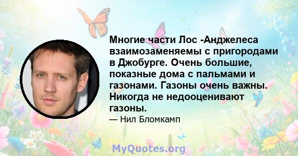 Многие части Лос -Анджелеса взаимозаменяемы с пригородами в Джобурге. Очень большие, показные дома с пальмами и газонами. Газоны очень важны. Никогда не недооценивают газоны.