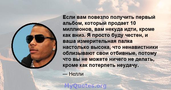 Если вам повезло получить первый альбом, который продает 10 миллионов, вам некуда идти, кроме как вниз. Я просто буду честен, и ваша измерительная палка настолько высока, что ненавистники облизывают свои отбивные,