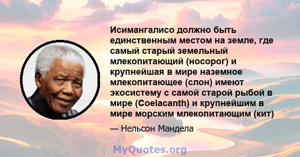 Исимангалисо должно быть единственным местом на земле, где самый старый земельный млекопитающий (носорог) и крупнейшая в мире наземное млекопитающее (слон) имеют экосистему с самой старой рыбой в мире (Coelacanth) и