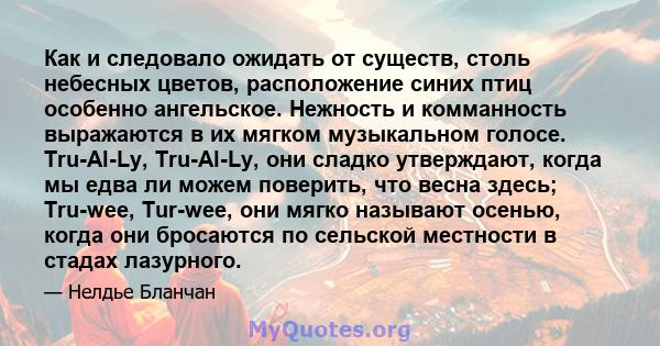 Как и следовало ожидать от существ, столь небесных цветов, расположение синих птиц особенно ангельское. Нежность и комманность выражаются в их мягком музыкальном голосе. Tru-Al-Ly, Tru-Al-Ly, они сладко утверждают,