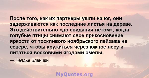 После того, как их партнеры ушли на юг, они задерживаются как последние листья на дереве. Это действительно «до свидания летом», когда голубые птицы снимают свое прикосновение яркости от тоскливого ноябрьского пейзажа