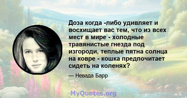 Доза когда -либо удивляет и восхищает вас тем, что из всех мест в мире - холодные травянистые гнезда под изгороди, теплые пятна солнца на ковре - кошка предпочитает сидеть на коленях?