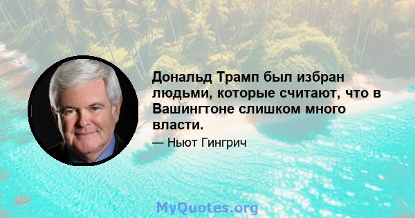 Дональд Трамп был избран людьми, которые считают, что в Вашингтоне слишком много власти.