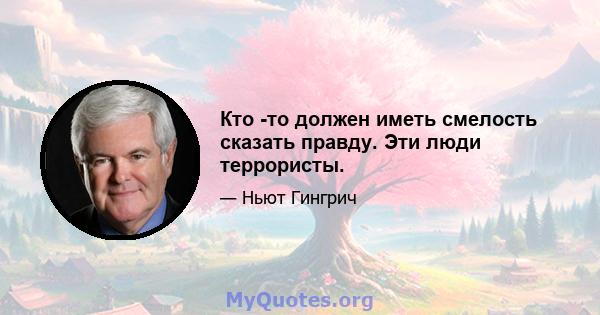 Кто -то должен иметь смелость сказать правду. Эти люди террористы.