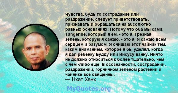 Чувства, будь то сострадание или раздражение, следует приветствовать, признавать и обращаться на абсолютно равных основаниях; Потому что оба мы сами. Tangerine, который я ем, - это я. Грезная зелень, которую я сажаю, -