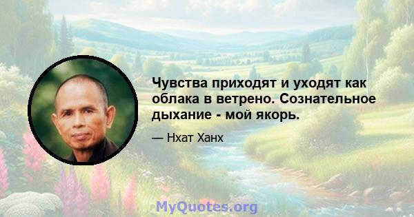 Чувства приходят и уходят как облака в ветрено. Сознательное дыхание - мой якорь.