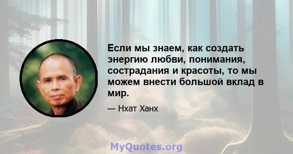 Если мы знаем, как создать энергию любви, понимания, сострадания и красоты, то мы можем внести большой вклад в мир.