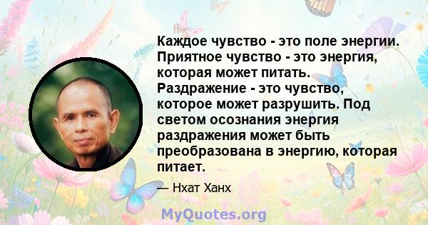 Каждое чувство - это поле энергии. Приятное чувство - это энергия, которая может питать. Раздражение - это чувство, которое может разрушить. Под светом осознания энергия раздражения может быть преобразована в энергию,