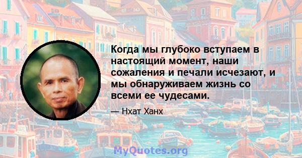 Когда мы глубоко вступаем в настоящий момент, наши сожаления и печали исчезают, и мы обнаруживаем жизнь со всеми ее чудесами.