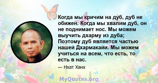 Когда мы кричим на дуб, дуб не обижен. Когда мы хвалим дуб, он не поднимает нос. Мы можем выучить дхарму из дуба; Поэтому дуб является частью нашей Дхармакайи. Мы можем учиться на всем, что есть, то есть в нас.