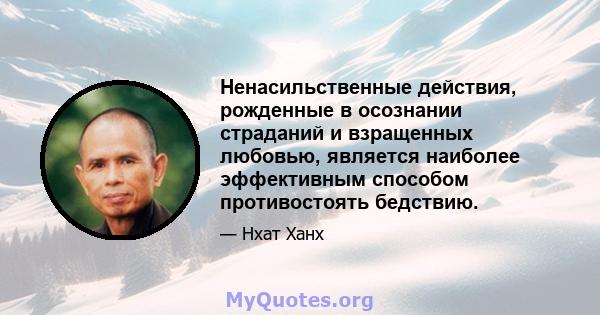 Ненасильственные действия, рожденные в осознании страданий и взращенных любовью, является наиболее эффективным способом противостоять бедствию.