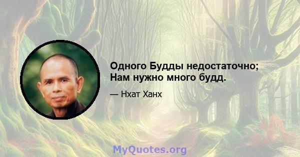 Одного Будды недостаточно; Нам нужно много будд.