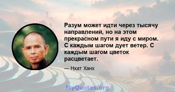 Разум может идти через тысячу направлений, но на этом прекрасном пути я иду с миром. С каждым шагом дует ветер. С каждым шагом цветок расцветает.