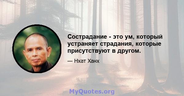 Сострадание - это ум, который устраняет страдания, которые присутствуют в другом.