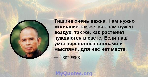 Тишина очень важна. Нам нужно молчание так же, как нам нужен воздух, так же, как растения нуждаются в свете. Если наш умы переполнен словами и мыслями, для нас нет места.