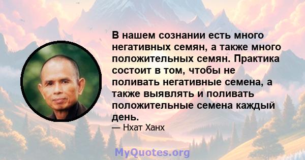 В нашем сознании есть много негативных семян, а также много положительных семян. Практика состоит в том, чтобы не поливать негативные семена, а также выявлять и поливать положительные семена каждый день.