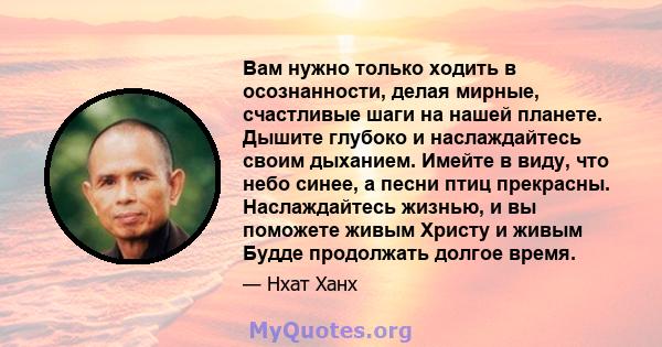 Вам нужно только ходить в осознанности, делая мирные, счастливые шаги на нашей планете. Дышите глубоко и наслаждайтесь своим дыханием. Имейте в виду, что небо синее, а песни птиц прекрасны. Наслаждайтесь жизнью, и вы