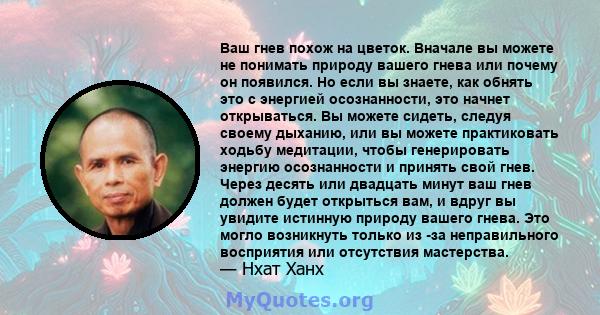 Ваш гнев похож на цветок. Вначале вы можете не понимать природу вашего гнева или почему он появился. Но если вы знаете, как обнять это с энергией осознанности, это начнет открываться. Вы можете сидеть, следуя своему