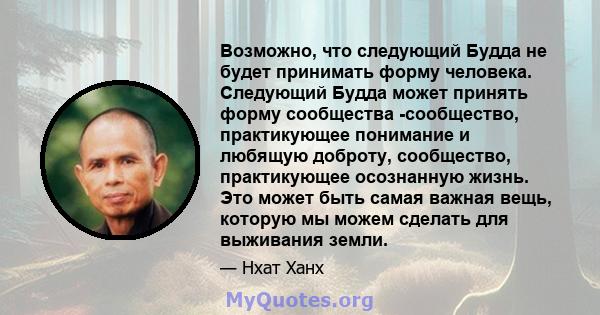 Возможно, что следующий Будда не будет принимать форму человека. Следующий Будда может принять форму сообщества -сообщество, практикующее понимание и любящую доброту, сообщество, практикующее осознанную жизнь. Это может 