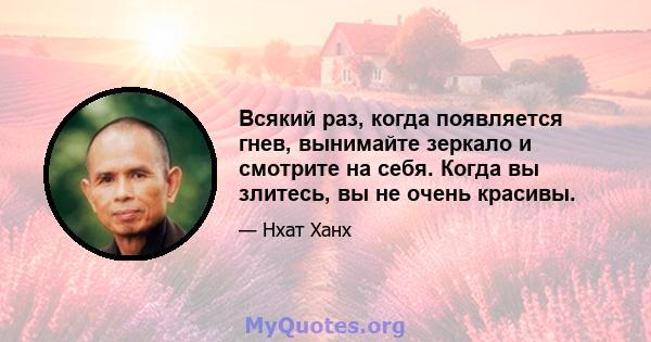 Всякий раз, когда появляется гнев, вынимайте зеркало и смотрите на себя. Когда вы злитесь, вы не очень красивы.