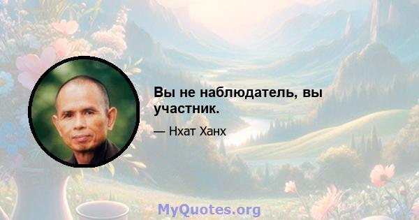 Вы не наблюдатель, вы участник.