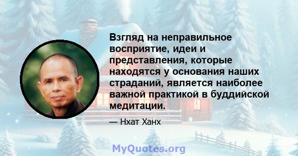 Взгляд на неправильное восприятие, идеи и представления, которые находятся у основания наших страданий, является наиболее важной практикой в ​​буддийской медитации.