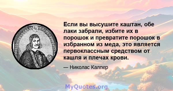 Если вы высушите каштан, обе лаки забрали, избите их в порошок и превратите порошок в избранном из меда, это является первоклассным средством от кашля и плечах крови.