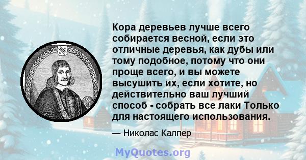 Кора деревьев лучше всего собирается весной, если это отличные деревья, как дубы или тому подобное, потому что они проще всего, и вы можете высушить их, если хотите, но действительно ваш лучший способ - собрать все лаки 