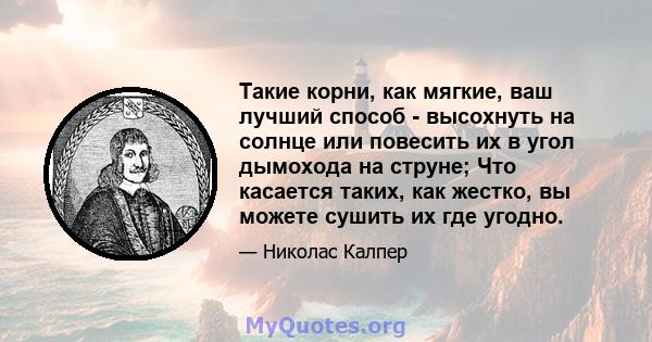 Такие корни, как мягкие, ваш лучший способ - высохнуть на солнце или повесить их в угол дымохода на струне; Что касается таких, как жестко, вы можете сушить их где угодно.