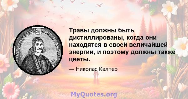 Травы должны быть дистиллированы, когда они находятся в своей величайшей энергии, и поэтому должны также цветы.