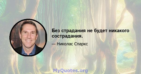 Без страдания не будет никакого сострадания.