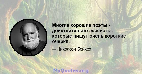 Многие хорошие поэты - действительно эссеисты, которые пишут очень короткие очерки.