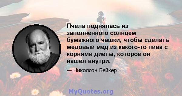 Пчела поднялась из заполненного солнцем бумажного чашки, чтобы сделать медовый мед из какого-то пива с корнями диеты, которое он нашел внутри.