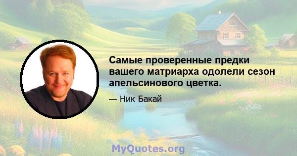 Самые проверенные предки вашего матриарха одолели сезон апельсинового цветка.