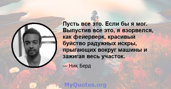 Пусть все это. Если бы я мог. Выпустив все это, я взорвелся, как фейерверк, красивый буйство радужных искры, прыгающих вокруг машины и зажигая весь участок.