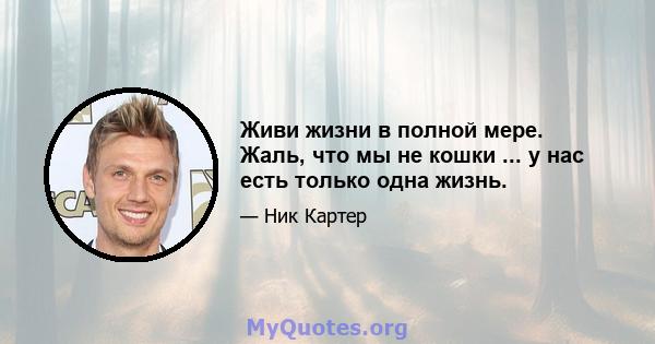 Живи жизни в полной мере. Жаль, что мы не кошки ... у нас есть только одна жизнь.