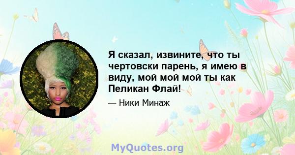 Я сказал, извините, что ты чертовски парень, я имею в виду, мой мой мой ты как Пеликан Флай!