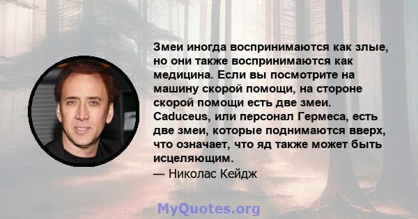 Змеи иногда воспринимаются как злые, но они также воспринимаются как медицина. Если вы посмотрите на машину скорой помощи, на стороне скорой помощи есть две змеи. Caduceus, или персонал Гермеса, есть две змеи, которые