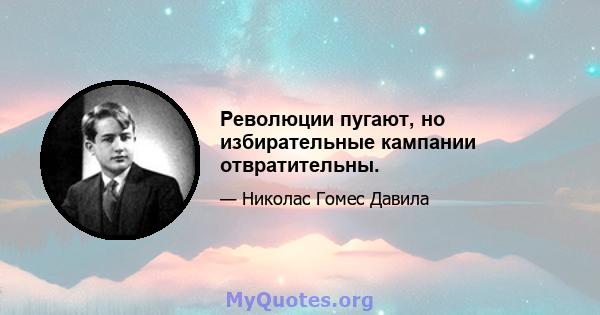 Революции пугают, но избирательные кампании отвратительны.