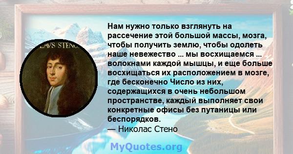 Нам нужно только взглянуть на рассечение этой большой массы, мозга, чтобы получить землю, чтобы одолеть наше невежество ... мы восхищаемся ... волокнами каждой мышцы, и еще больше восхищаться их расположением в мозге,