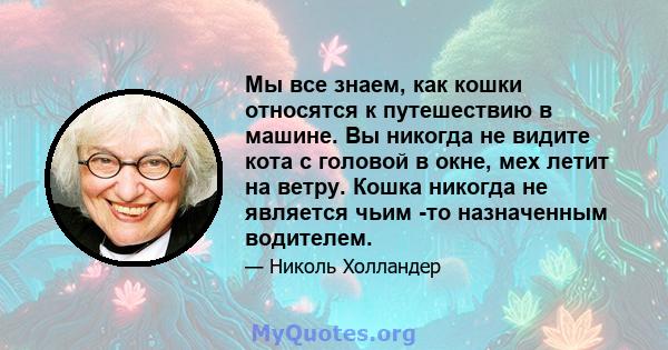 Мы все знаем, как кошки относятся к путешествию в машине. Вы никогда не видите кота с головой в окне, мех летит на ветру. Кошка никогда не является чьим -то назначенным водителем.