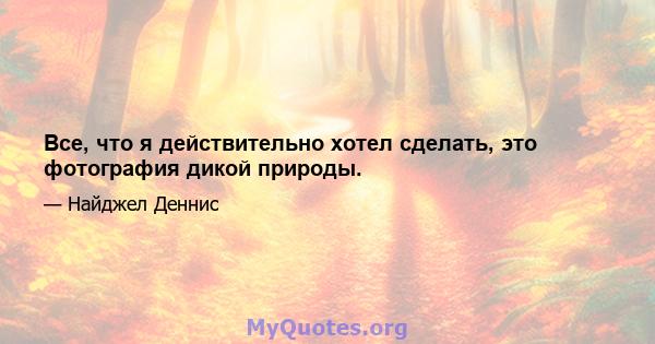 Все, что я действительно хотел сделать, это фотография дикой природы.