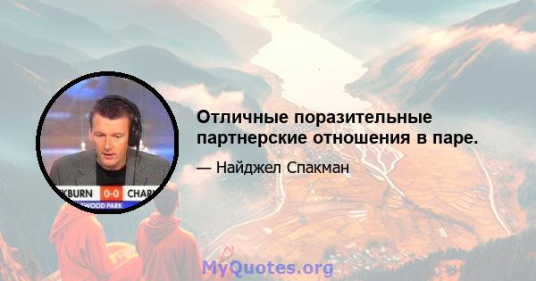 Отличные поразительные партнерские отношения в паре.