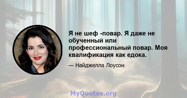 Я не шеф -повар. Я даже не обученный или профессиональный повар. Моя квалификация как едока.