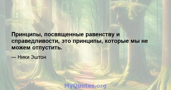 Принципы, посвященные равенству и справедливости, это принципы, которые мы не можем отпустить.