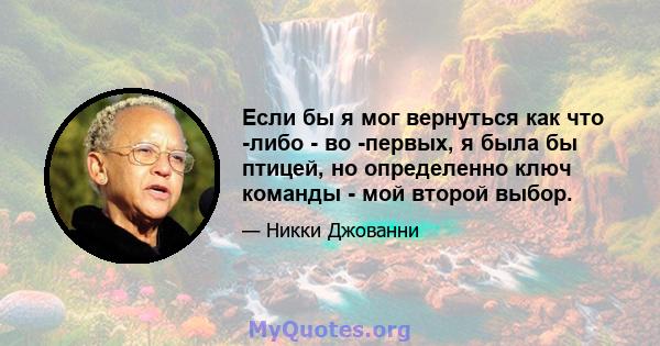 Если бы я мог вернуться как что -либо - во -первых, я была бы птицей, но определенно ключ команды - мой второй выбор.