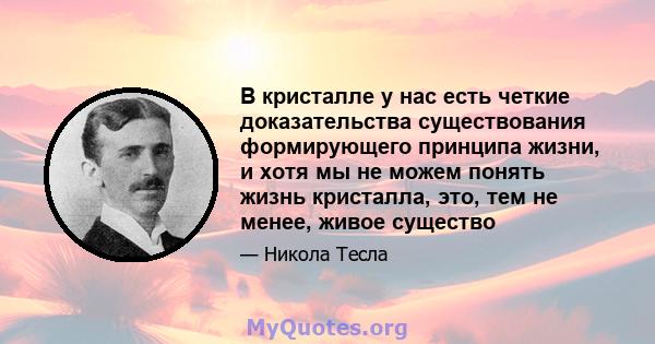 В кристалле у нас есть четкие доказательства существования формирующего принципа жизни, и хотя мы не можем понять жизнь кристалла, это, тем не менее, живое существо