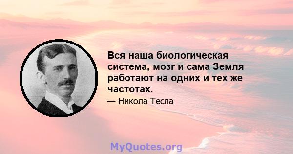 Вся наша биологическая система, мозг и сама Земля работают на одних и тех же частотах.