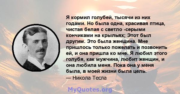 Я кормил голубей, тысячи из них годами. Но была одна, красивая птица, чистая белая с светло -серыми кончиками на крыльях; Этот был другим. Это была женщина. Мне пришлось только пожелать и позвонить ей, и она пришла ко